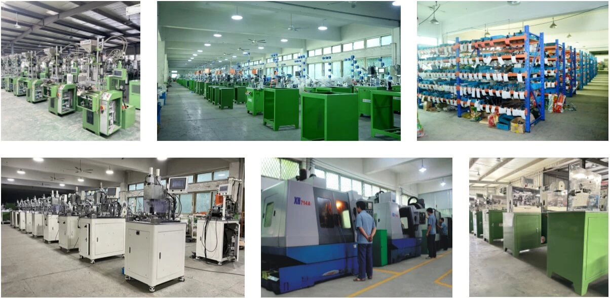 Company Profile